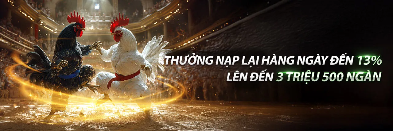 Hình ảnh đại diện cho Điều khoản dịch vụ 88x